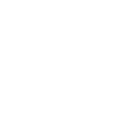 一对一专业顾问服务